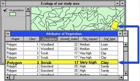 Attribute Data