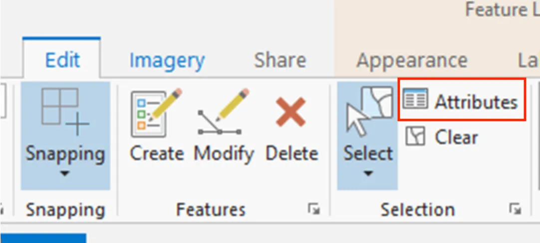 Feature attribute